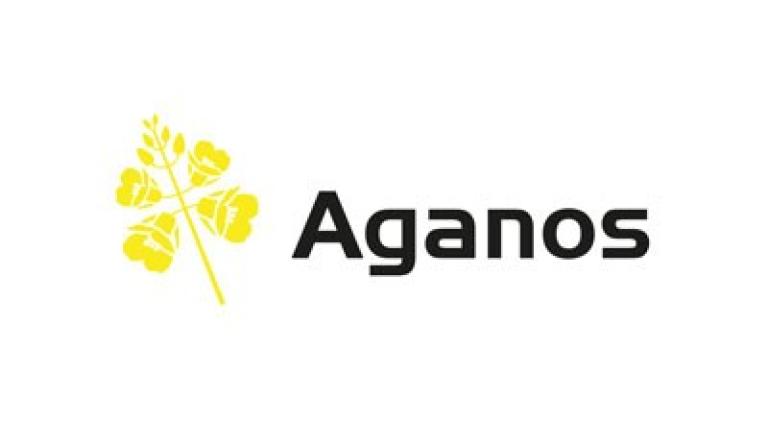 Raps Aganos Syngenta